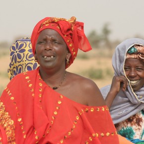 Rencontre en brousse - Sénégal