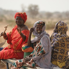 Rencontre en brousse - Sénégal