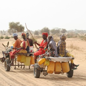 Rencontre en brousse - Sénégal