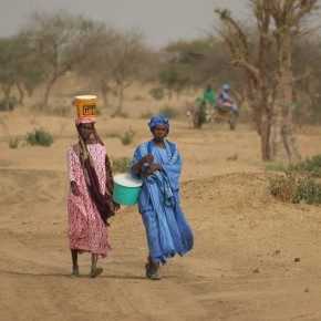 Rencontre en brousse - Sénégal