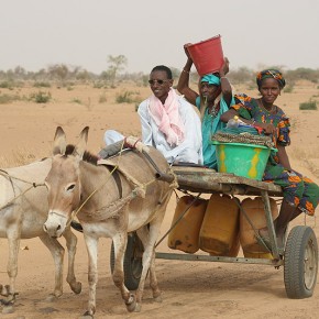 Rencontre en brousse - Sénégal