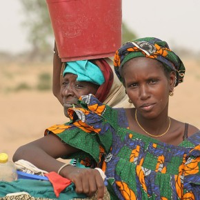 Rencontre en brousse - Sénégal