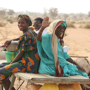 Rencontre en brousse - Sénégal