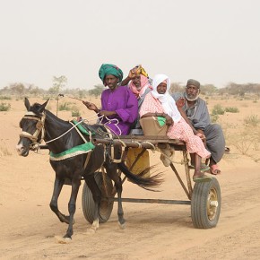 Rencontre en brousse - Sénégal