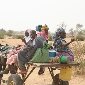 Rencontre en brousse - Sénégal