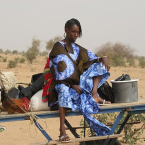 Rencontre en brousse - Sénégal