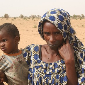 Rencontre en brousse - Sénégal