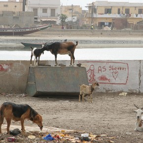 Sénégal