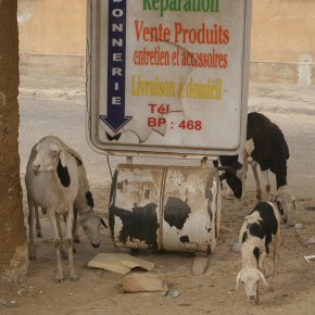 Sénégal