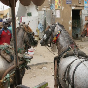 Sénégal