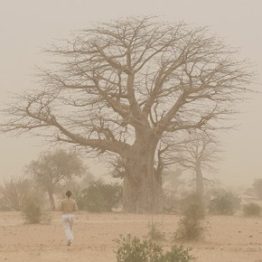 Sénégal