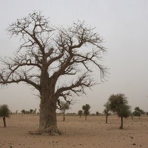 Sénégal