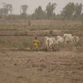 Sénégal