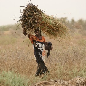 Sénégal