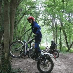 Guillaume - Honda TLR