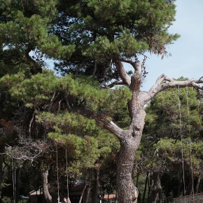 ïle de Dugi Otok