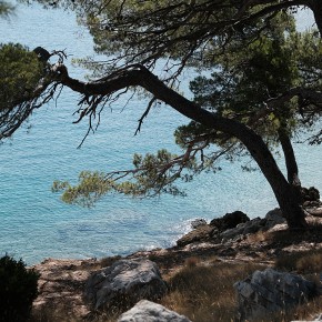 Baignade imminente entre Zadar et Split