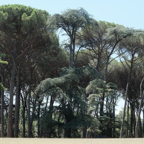 Respiration - Montecatini Terme