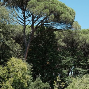 Respiration - Montecatini Terme