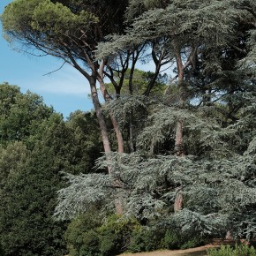 Respiration - Montecatini Terme