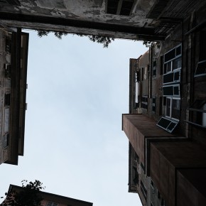Gènes