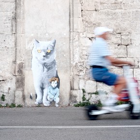 Mon cher Voigtlander - Arles