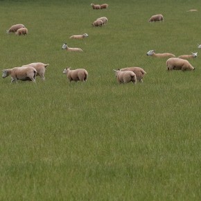 Au sud de l'Ecosse
