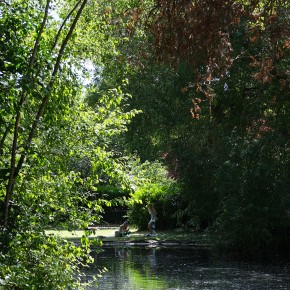 Dans un parc - Dublin