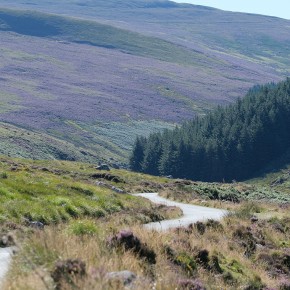 Wicklows Mountains