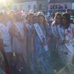 Miss roses - Gorey