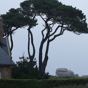 Côte de granit rose