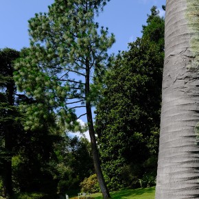 Jardins de la Villa Carlotta - Lac de Côme