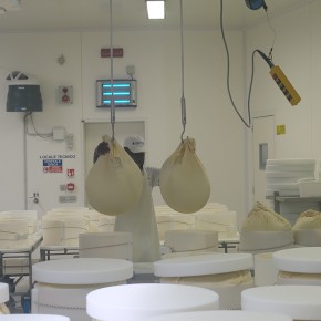 4 Madonne Caseificio dell'Emilia - Fabrication du Parmigiano