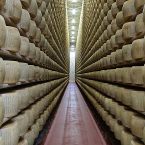 4 Madonne Caseificio dell'Emilia - Fabrication du Parmigiano