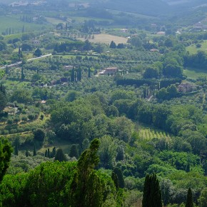 Montepulciano