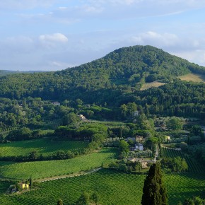 Montepulciano