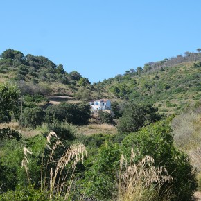 Mon gite, chez Guiditta - Ile d'Elbe