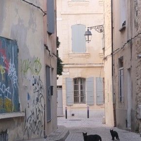 Les potes du matin - Arles