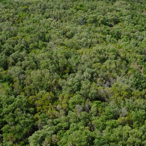 La pampa - Isola d'Elba