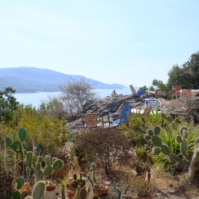 la buvette - Isola d'Elba