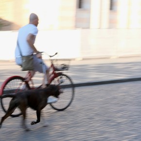 A vélo - Ferrara