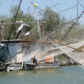 Entre filets - Près de Ravenna