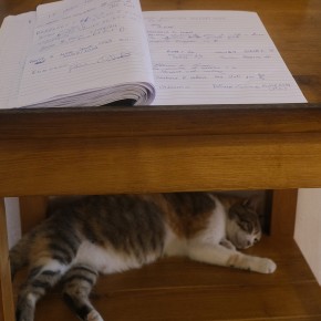 Impressioni critiche e suggerimentti - Isola d'Ischia