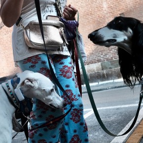Chic | Lucca