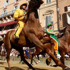 Galop d'essai | Palio Bergamo