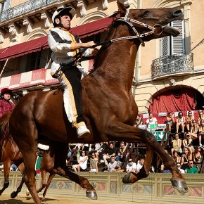 Galop d'essai | Palio Bergamo