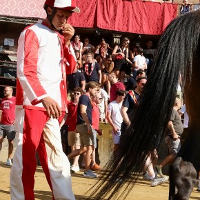 Queue de cheval | Palio di Siena