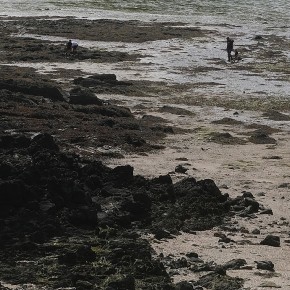 Marée basse | Baie de Saint Brieuc