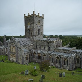 St David