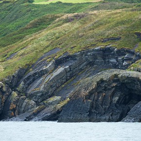 Cardigan Bay